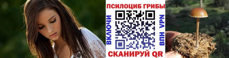 Псилоцибиновые грибы MAGIC MUSHROOMS Елец