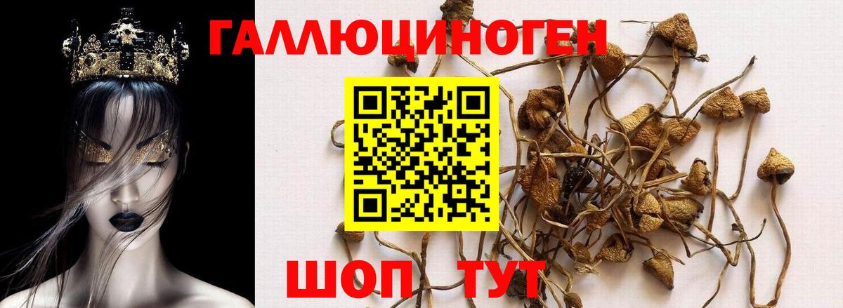 Псилоцибиновые грибы мухоморы  Вход с VPN  Елец 