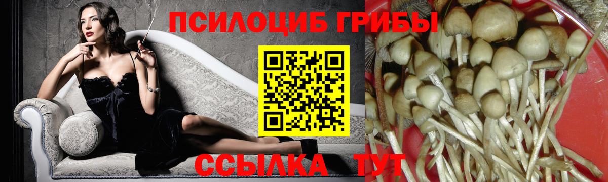 Галлюциногенные грибы MAGIC MUSHROOMS Елец